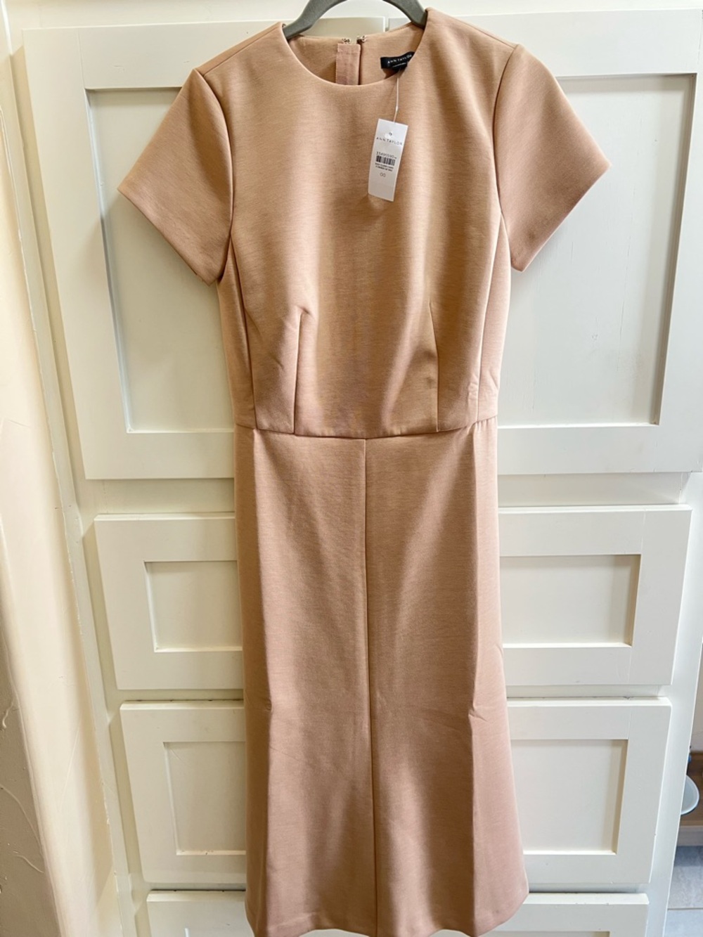 Ann Taylor Elegant Blush Shift Dress with Short Sleeves